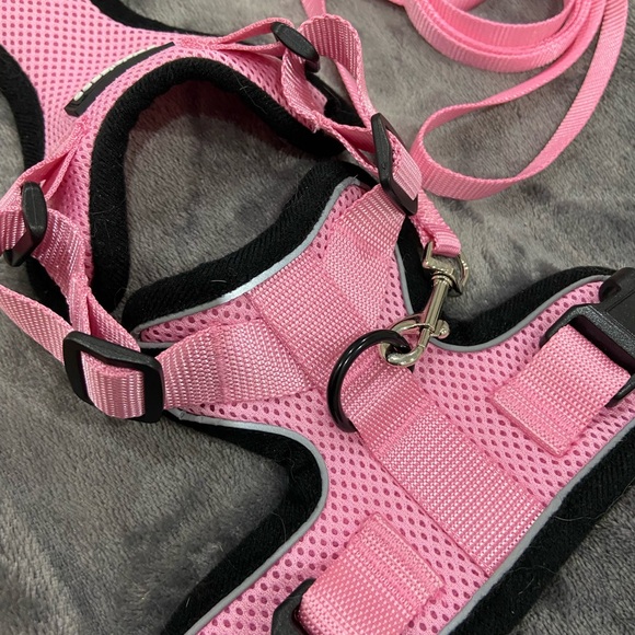 CAT BUNDLE includes:
Cat sign 
Cute sheer cat scarf. 😺
Cat leases
Cat bandanas 5 - Picture 14 of 15